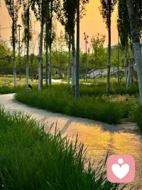 疗愈是一个慢慢来的过程，不用催促自己立刻走出低谷。给自己一点时间，风会来，光也会来，你会慢慢自愈，慢慢温柔。配图