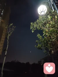如果你心里充满了恐惧和贪婪，即便你在夏威夷度假，你也是“囚犯”。如果你的心是宽广且觉知的，即便你在监狱里，你也是“自由”的。配图