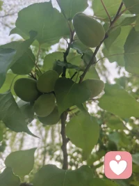 一日三餐配图