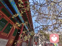 🍀[咨询室里的悄悄话：当做什么都不顺时]🍀

老师，我最近做什么都不顺......
这是我在咨询室里常听到的一句话。很多时候，让我们喘不过气的，不是事情本身，而是我们给这些事贴的标签我总是这样我根本不行.
这时候，我会陪着来访者做一个小小的认知重构练习：
先把那个把一时说成一世的想法轻轻拿下来，放在桌面上看；
然后一起找一找：有没有哪一次，你觉得自己其实撑住了?
最后，试着把我是个失败者换成我正在经历一段很难，但仍在坚持的日子.
重构，不是让你假装一切都好，而是不再用一把尺子量尽整个人生。
当你开始这样对自己说话，心会慢慢松下来，路也会一点点亮起来。
一句话，与君共勉：
事情乱，不代表你烂;会重构，阴霾就会散!配图