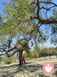 🍀[爱自己   从不再PUA自己开始]🍀

为什么有些人总觉得自己没有“配得感……
因为你习惯了把所有的错都揽在自己身上。
心理学有个词叫归因方式.
同样是迟到：
别人迟到=堵车(外部原因)
自己迟到=懒散(内部原因)
这种自利性偏差的反向操作，是你内耗的根源。
理解归因，不是为了推卸责任，而是为了分清：哪些是我要改的性
格短板，哪些是我不必背的命运黑锅。
看清真相，停止自责，才是真正的放过自己。
与君共勉一句话：老天尚有阴雨天，我也允许自己掉线!配图