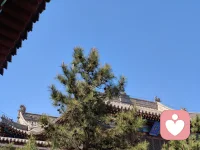 ☘️【你的人生储蓄余额知多少】☘️
       
       每个人要走好这波澜壮阔跌宕起伏的人生路，一定要管理好2个储蓄账户——一个用来储备爱；一个储备乐趣与热情。
       然后你就“唐哥唐哥”走……无论黑夜与白昼，管它风狂还是雨骤。配图
