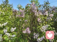 ☘️【女性成长最快的路】☘️

     🌸进窄门:向内求聚焦；清晰目标看到自己的边界

     🌸走暗路:学会自己撑伞；在看不见希望的阶段努力往前走几步

    🌸耕瘦田:磨练低耗高韧的生存力；学会自己扎根配图