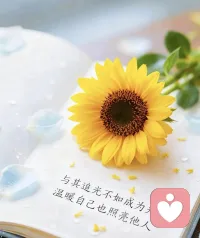☘️【恋爱中怎样判断男生是好人】☘️

🌸有好的生命状态:爱自己，生活有支点

🌸有同理心:说话能顺着你的话题走，接得住你的情绪

🌸有健康的关系网:与人相处有边界感

🌸自尊心适度:太强易自负，太弱易自卑冷暴力配图
