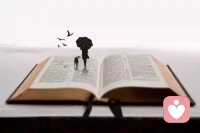 ☘️【相遇的意义】☘️

🌸今早读到一段话，很受益:其实很多时候，相遇的意义从来不是永远地在一起，而是有人曾经把你从孤单里拉出来——是那个人的出现，让你得以窥见一片更辽阔的世界，也让你撞见了一个更温柔的自己，那段时光曾经真实的照亮过你，并没有消失，而是悄然的融进了你的骨血里，成为了你生命肌理的一部分。人与人之间不是非要拼凑出一个圆满结局，才称得上值得。那些你曾为之心动过的瞬间，你曾被稳稳接住的陪伴，你被悄然治愈的伤口以及你从中长出新的羽翼，这些本身就已经是全部的答案了，配图