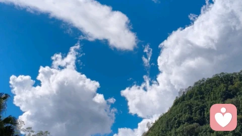 真正的平衡,不是你理顺了万物,而是你终于不再与自己对抗