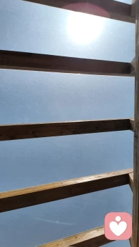 ☘️我们不是因为事情本身而痛苦，而是因为我们对事情的诠释而痛苦。☘️配图