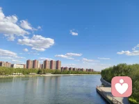 ☘️负能力是咨询师的理想状态：能忍受不确定、神秘和怀疑，而不急躁地追求事实与原因。

☘️咨询师需悬置记忆、欲望与急于理解，才能向O（终极真实/体验本身）开放。配图