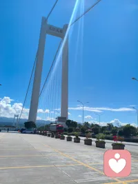 🌳对咨询师而言，来访者的防御不是我们要去摧毁的敌人，而是我们要去理解的朋友。它是来访者在漫长的孤独岁月中，唯一忠诚的守护者。配图