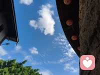 🌵那些看似疯狂、傲慢或不可理喻的行为，往往是来访者心灵为了抵御深层绝望而筑起的堡垒——治愈的路径，不是推倒堡垒，而是通过理解与共情，让被隔离的部分重新流回生命的整体。配图