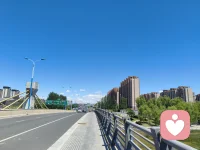 ☘️治愈并不意味着让自体变得完美无缺，而是建立一个功能良好的结构。配图