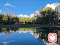 🍀生命总会找到出路，就像河流遇到巨石会改道一样，我们的心灵在遭遇创伤后，也可以通过建立新的结构来恢复完整。配图