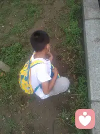 🌸关注当下的目的不是为了感觉更好，而是为了更好地去感觉。