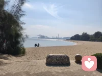 ☘️如果你能注意到你的痛苦，那么你就不完全是你的痛苦。因为观察者不可能等同于被观察的对象。