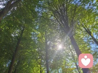 ☘️我们不仅仅是为了消除痛苦而活着，我们是为了某种意义而活着。

🍀​一个人知道自己为什么而活，就可以忍受任何不堪的生活。
