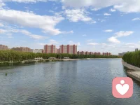 🍀焦虑，是因为你把方向盘交给了风；而掌控感，是你终于意识到，你不仅是司机，更是这艘船的造船师。配图