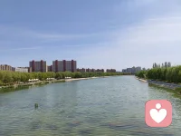 ☘️纵浪大化中，不喜亦不惧。把此身交还此生，把此生交还天地，你只需要——在。配图