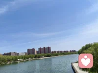 ☘️你若停止与自己为敌，连风都会帮你推船。把命交给命，自由才开始。配图
