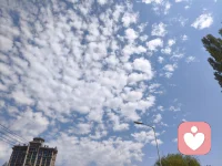 🌸我不再跟潮汐吵架，也不再逼种子在冬天发芽。我把“应该”这个词，埋进土里，让该来的来，让该去的去。我只是站在风中，不做决定，只做见证。配图