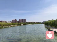 ☘️我们无法改变出身，但我们可以改变与过去的关系。配图