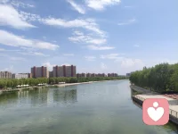 ☘️青春期的你，正处于‘不再是孩子’却‘还不是大人’的缝隙里，这种悬而未决的感觉，本身就是成长的一部分。配图
