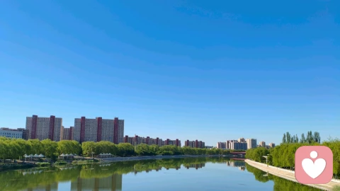从琼瑶与平鑫涛的结局看婚姻：当浪漫的泡沫退去，剩下的是什么？