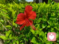 🍀婚姻中男女的关注点：

🌸男人往往关注价值——我能否通过这段关系获得社会地位、资源互补、情绪抚慰。

🌼女人往往关注关系——我能否通过这段关系获得安全感、亲密感、被看见的感觉。配图