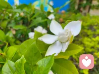 🍀婚姻中男女的关注点：

🌸男人往往关注价值——我能否通过这段关系获得社会地位、资源互补、情绪抚慰。

🌼女人往往关注关系——我能否通过这段关系获得安全感、亲密感、被看见的感觉。配图