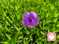 🍀婚姻中男女的关注点：

🌸男人往往关注价值——我能否通过这段关系获得社会地位、资源互补、情绪抚慰。

🌼女人往往关注关系——我能否通过这段关系获得安全感、亲密感、被看见的感觉。配图