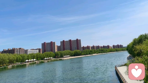 为什么这届独生子女不结婚了？——心理咨询师带你看见低婚率背后的成长密码