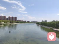 ☘️你对他人的抱怨，往往是你对自己最深的审判。配图