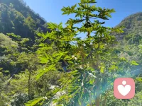 真正的自信，是在关系中敢于展示脆弱，而不担心因此被抛弃。配图
