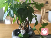 爱的最好证明，不是替他扫清所有障碍，而是看着他跌倒，相信他能爬起来。配图