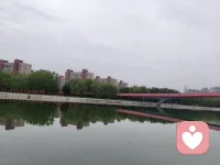 身体是潜意识的显示器，放松念头，身体才会松弛。配图