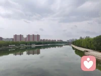 ☘️真正的疗愈，不是消灭阴影，而是允许光进来。配图