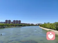 ☘️防御机制本身没有好坏，关键在于层级——成熟的防御让我们成长，不成熟的防御让我们困在原地。配图