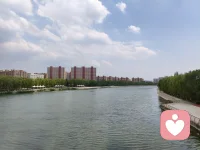 ☘️我们看见的，从来不是事物的本身，而是我们自己对事物的理解。配图