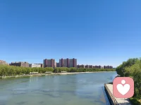 🍀真正的倾听，是在对方还没说完时，就先看见了情绪。