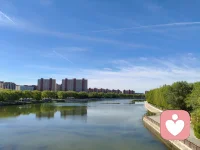 荣格对爱情的理解深刻而独特，核心在于将爱情视为自我认知与心灵成长的途径，而非单纯的浪漫情感或寻求幸福。以下是其核心观点：

1. 爱上的是“未被活出的自己”
人们爱上的往往不是对方本身，而是对方身上映照出的自己渴望拥有却未实现的特质。这种吸引源于内心深处的“阿尼玛”（男性心中的女性意象）或“阿尼姆斯”（女性心中的男性意象）原型。

2. 一见钟情是投射，幻灭是开始
爱情初期的激情和浪漫，很大程度上是将自己理想化的“阿尼玛”或“阿尼姆斯”投射到了对方身上。但这种幻想的爱是不稳定的，当激情褪去，看到对方真实的缺点时，幻想就会破灭。荣格认为，这恰恰是爱情真正开始的时刻——需要“收回投射”，不再要求对方成为自己灵魂的救世主，而是看清并接纳对方是一个独立、真实的人。

3. 爱情的目标是心灵成长
爱情的终极目标不是幸福，而是通过对方这面镜子，照见自己内心未愈合的创伤和缺失的部分。真正的爱要求我们停止改造他人，转而雕刻自己的灵魂，实现个体的完整性。

4. 婚姻是灵魂的磨合
没有完美的婚姻，只有在冲突中共同成长的两个人。婚姻的终极意义是让两个残缺的灵魂在冲突中打磨出完整的光泽。

5. 真爱是成就更好的自己
真爱不是强行改变他人，而是在爱对方的同时，更用心地雕琢自己，使自己变得更好。爱，使人有了成为更好自己的勇气。

6. 当爱支配一切，权力便消失
爱情里最忌讳的，是试图掌控对方。用猜忌、控制、占有欲编织的网，看似是爱，实则是权力的游戏。真正的爱，是平等与尊重，是“我需要你，但不依附你；我爱你，也给你自由”。

7. 成熟的爱是两个完整之人的并肩同行
健康的爱情是两个已经完成内在整合的人之间的关系。他们不再需要对方来填补自己的空洞，而是可以并肩作战，共同成长。成熟的爱是清醒、平等且尊重彼此的，双方都能在关系中保持自我，同时支持彼此成为更好的人。

8. 最好的告别是生命里的光
不是所有爱情都能走到最后，但好的爱情应该是彼此生命里的光。即便最终分道扬镳，爱情里经历的时光，不是消耗，而是滋养，照亮彼此，勇敢走未来之路。

9. 孤独是爱的试金石
若你不能与自己共处，任何他人终将成为牢笼。荣格强调，无法独处的人，在爱情中只会制造更深的孤独。唯有学会与自己相处，享受孤独，才能在爱情里保持清醒，给对方空间，也给自己自由。