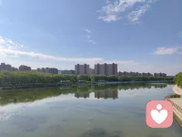 🍀河水不语，却把所有的嘈杂都抚成了波纹。