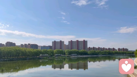 母亲眼里那束“看见”的光，藏着孩子人格的底色