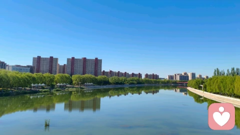 当父母做得不够好，如何自我养育——成年人的“再抚育”与人格重构之路