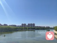 ☘️未被看见的孩子，终其一生都在向世界索要一个确认的眼神。