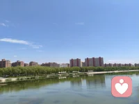 母亲给孩子根，父亲给孩子翅膀