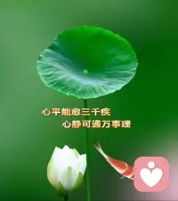 在这个信息爆炸的时代，我们似乎总是在追求——更多的知识，更多的信息。

然而，真正的智慧并不仅仅是知识而是一种理解和应用知识的能力。配图