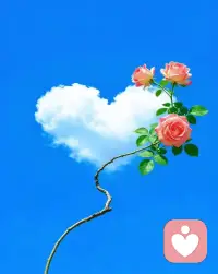你外在的生活，日子，境遇一定是与你内在频率相匹配的