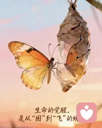 凡是磨你，皆为渡你!
人生没有无用的经历，
要么有所得，要么有所学。