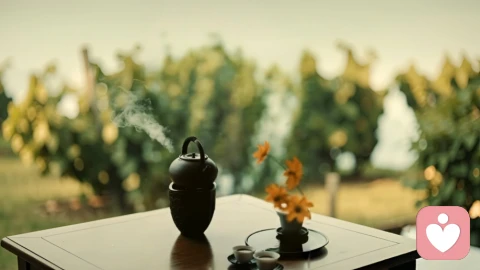 人到中年最好的状态：素静
