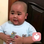 小郑倾听的头像