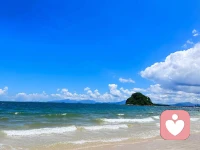 奔赴大海，与美好撞个满怀。配图